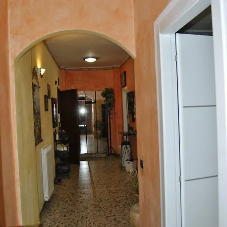 L'orchidea Di Riva